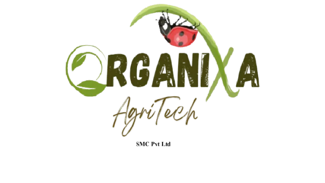 Inayatullah%20Portfolio